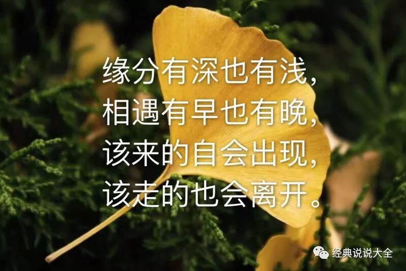 情感分享图片:用画面诉说心事